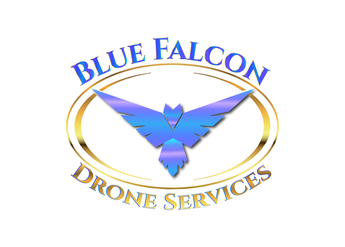 Blue Falcon Drone Services logo